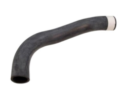 Genuine Mercedes 1075010082 Radiator Coolant Hose; Lower - Mercedes