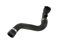 Rein Automotive 17123413819, CHR0198P Radiator Coolant Hose; Lower To Thermostat Housing - BMW | 11530360161 11533400209 W01331770987