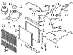 Genuine BMW 17127535562 Radiator Coolant Hose; Lower - BMW
