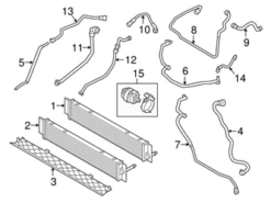 Genuine BMW 17127640841 Coolant Hose - BMW