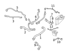Genuine BMW 17127933660 Radiator Coolant Hose; Right - BMW