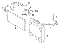 Genuine BMW 17128071986 Radiator Coolant Hose; Outer - BMW