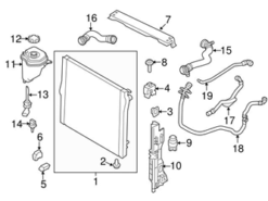 Genuine BMW 17128517969 Radiator Coolant Hose; Right, Lower - BMW