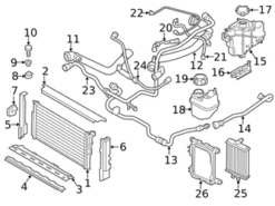 Genuine BMW 17128620944 Expansion Tank/Coolant Reservoir Hose - BMW