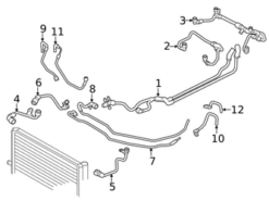 Genuine BMW 17128642039 Coolant Hose; Left - BMW