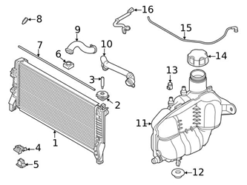 Genuine BMW 17128658483 Expansion Tank/Coolant Reservoir Hose - BMW