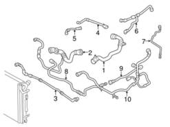 Genuine BMW 17128662840 Radiator Coolant Hose; Lower - BMW