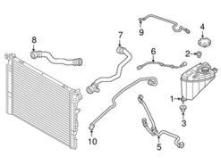 Genuine BMW 17128670995 Coolant Hose; Inner - BMW