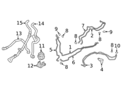 Genuine BMW 64216821651 Radiator Coolant Hose - BMW