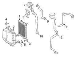 Genuine Mercedes 1665011400 Radiator Coolant Hose; Lower - Mercedes | 1665012082