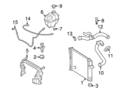Genuine Mercedes 2115018982 Radiator Coolant Hose; DELNNA | A2115018982