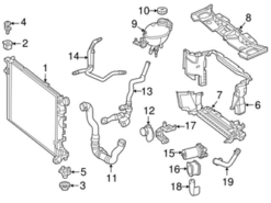 Genuine Mercedes 2185011682 Radiator Coolant Hose; Lower - Mercedes