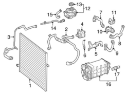 Genuine Mercedes 2225010893 Coolant Hose - Mercedes