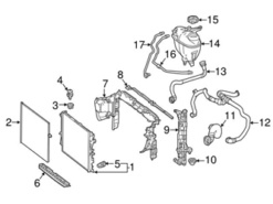 Genuine Mercedes 2225012425 Engine Coolant Overflow Hose; Right - Mercedes