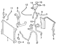 Genuine Mercedes 2315000575 Radiator Coolant Hose; Upper - Mercedes
