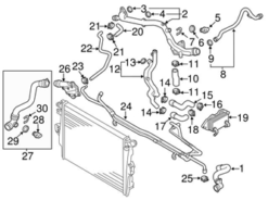 Genuine Porsche 95810640220 Radiator Coolant Hose - Porsche