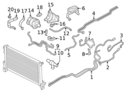 Genuine Volvo 31686102 Coolant Hose; Front Rear - Volvo
