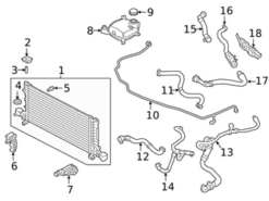 Genuine Volvo 32222092 Engine Coolant Overflow Hose - Volvo