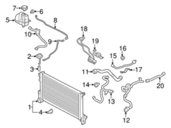 Genuine Volvo 32249658 Radiator Coolant Hose; Lower | 31338294 31474498 32224779