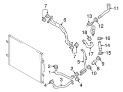 Genuine VW/Audi 077121109C Radiator Coolant Hose; Left Inner - Audi | AU077121109C