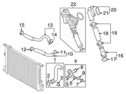 Genuine VW/Audi 079121081 Coolant Hose; Lower - Audi | AU079121081