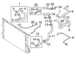 Genuine VW/Audi 8K0122293F Radiator Coolant Hose Adapter - Audi | AU8K0122293F