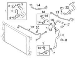 Genuine VW/Audi 8R0121081BM Engine Coolant Overflow Hose - Audi | 8R0121081BK AU8R0121081BM